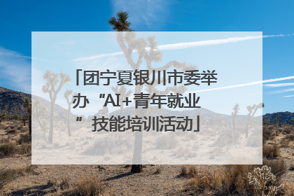 团宁夏银川市委举办“AI+青年就业”技能培训活动