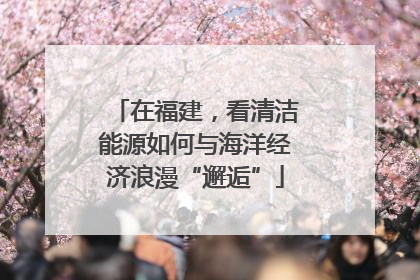 在福建，看清洁能源如何与海洋经济浪漫“邂逅”