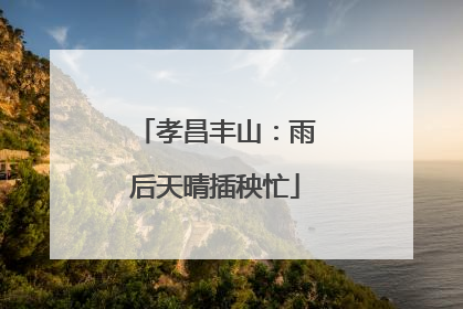 孝昌丰山：雨后天晴插秧忙