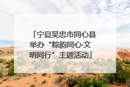 宁夏吴忠市同心县举办“粽韵同心·文明同行”主题活动