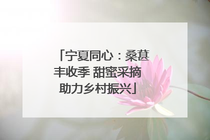 宁夏同心：桑葚丰收季 甜蜜采摘助力乡村振兴