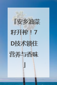 安乡油菜籽开榨！7D技术锁住营养与香味