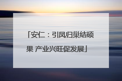 安仁：引凤归巢结硕果 产业兴旺促发展