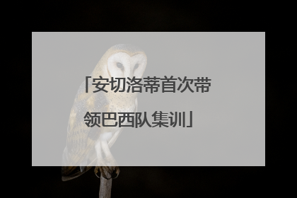 安切洛蒂首次带领巴西队集训
