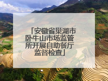 安徽省巢湖市卧牛山市场监管所开展自助餐厅监督检查