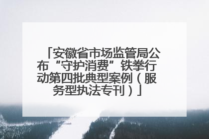 安徽省市场监管局公布“守护消费”铁拳行动第四批典型案例（服务型执法专刊）