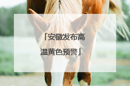 安徽发布高温黄色预警