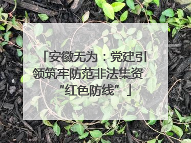 安徽无为：党建引领筑牢防范非法集资“红色防线”