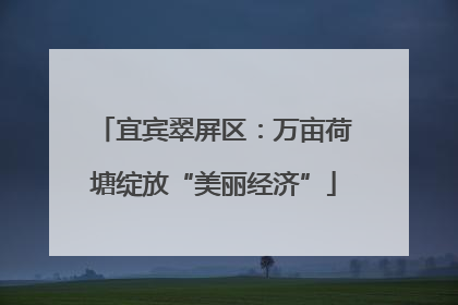 宜宾翠屏区：万亩荷塘绽放“美丽经济”