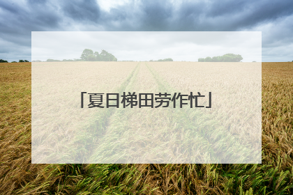 夏日梯田劳作忙