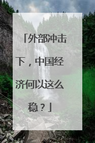外部冲击下，中国经济何以这么稳？