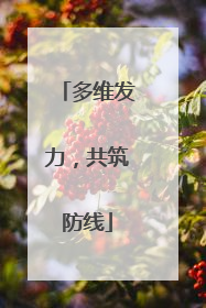 多维发力，共筑防线