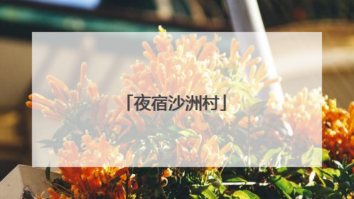 夜宿沙洲村