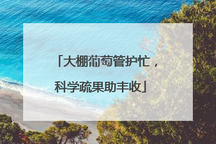 大棚葡萄管护忙，科学疏果助丰收
