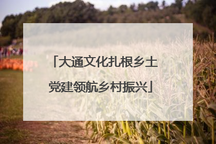 大通文化扎根乡土 党建领航乡村振兴