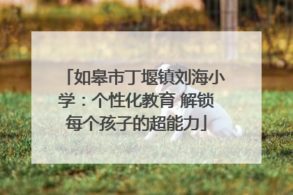 如皋市丁堰镇刘海小学：个性化教育 解锁每个孩子的超能力