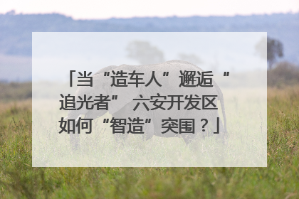 当“造车人”邂逅“追光者” 六安开发区如何“智造”突围？