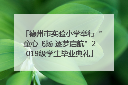 德州市实验小学举行“童心飞扬 逐梦启航”2019级学生毕业典礼