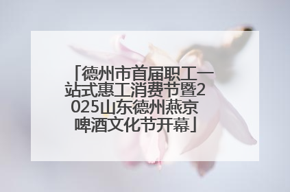 德州市首届职工一站式惠工消费节暨2025山东德州燕京啤酒文化节开幕