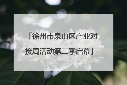 徐州市泉山区产业对接周活动第二季启幕