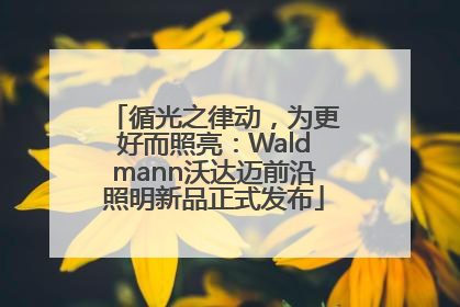 循光之律动，为更好而照亮：Waldmann沃达迈前沿照明新品正式发布