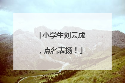 小学生刘云成，点名表扬！