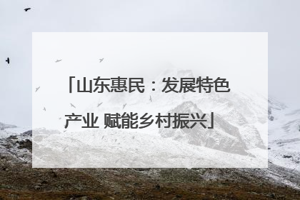 山东惠民：发展特色产业 赋能乡村振兴