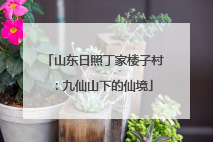 山东日照丁家楼子村：九仙山下的仙境