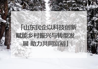 山东民企以科技创新赋能乡村振兴与转型发展 助力共同富裕