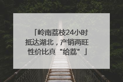 岭南荔枝24小时抵达湖北，产销两旺性价比真“给荔”