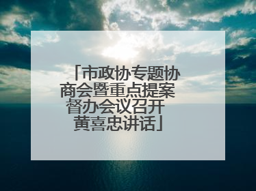 市政协专题协商会暨重点提案督办会议召开 黄喜忠讲话