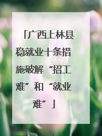 广西上林县稳就业十条措施破解“招工难”和“就业难”