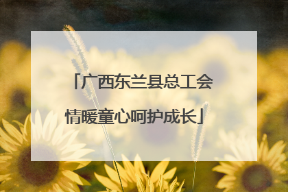 广西东兰县总工会情暖童心呵护成长