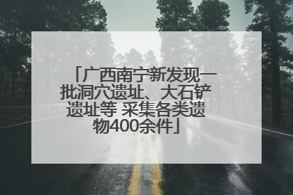 广西南宁新发现一批洞穴遗址、大石铲遗址等 采集各类遗物400余件