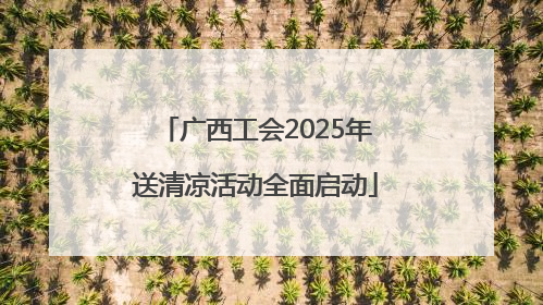 广西工会2025年送清凉活动全面启动