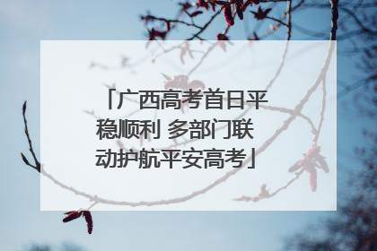 广西高考首日平稳顺利 多部门联动护航平安高考