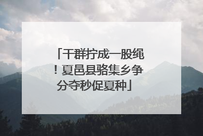 干群拧成一股绳！夏邑县骆集乡争分夺秒促夏种