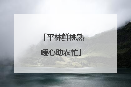 平林鲜桃熟 暖心助农忙