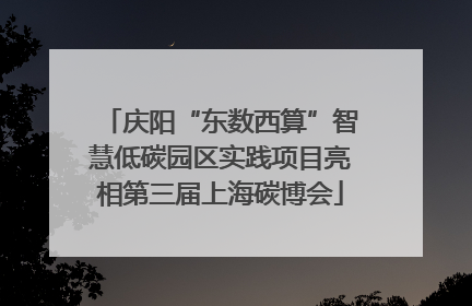 庆阳“东数西算”智慧低碳园区实践项目亮相第三届上海碳博会