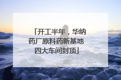 开工半年，华纳药厂原料药新基地四大车间封顶