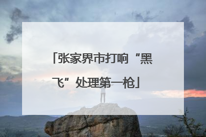 张家界市打响“黑飞”处理第一枪