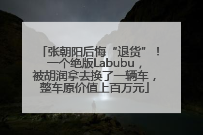 张朝阳后悔“退货”！一个绝版Labubu，被胡润拿去换了一辆车，整车原价值上百万元