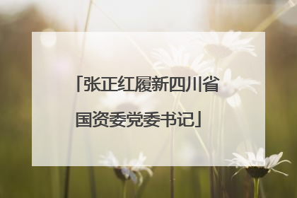 张正红履新四川省国资委党委书记