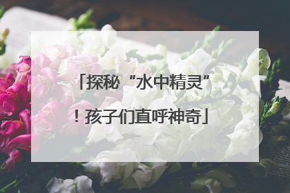 探秘“水中精灵”！孩子们直呼神奇