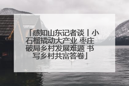 感知山东记者谈丨小石榴撬动大产业 枣庄破局乡村发展难题 书写乡村共富答卷