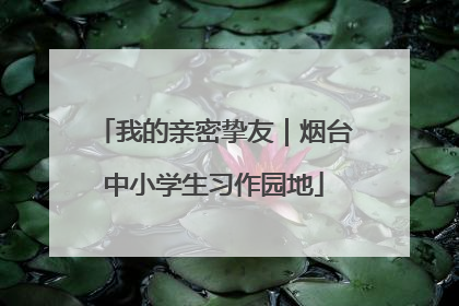 我的亲密挚友｜烟台中小学生习作园地