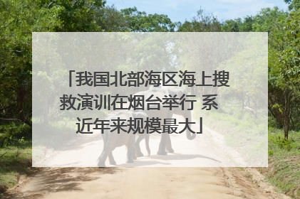 我国北部海区海上搜救演训在烟台举行 系近年来规模最大