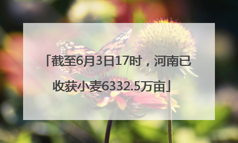 截至6月3日17时，河南已收获小麦6332.5万亩