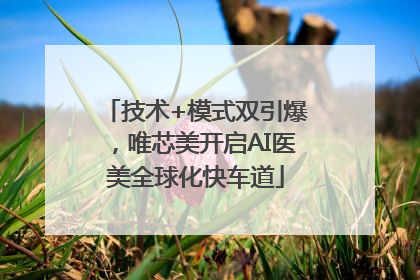 技术+模式双引爆，唯芯美开启AI医美全球化快车道