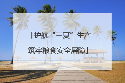 护航“三夏”生产 筑牢粮食安全屏障
